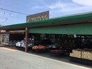 アバンセ群馬町店(スーパー)まで1129m ラティールＤ
