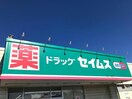 ドラッグセイムス吉岡店(ドラッグストア)まで629m ラ・メゾン・イッコクＡ