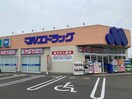 マルエドラッグ前橋元総社蒼海店(ドラッグストア)まで691m エトワル　Ａ