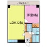 ベラビスタ柴田 1LDKの間取り