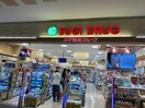 スギドラッグららぽーと名古屋みなとアクルス店(ドラッグストア)まで1388m エミールⅡ