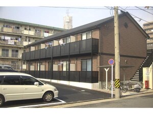 アンプルール ブワ ステラ