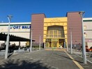 アピタ港店(スーパー)まで621m サンライズ入場