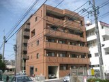 グラン・シャリオ日比野