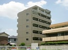 yggdrasillの外観