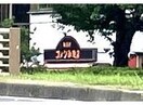 コメダ珈琲店港店(その他飲食（ファミレスなど）)まで474m テルスドゥガイア