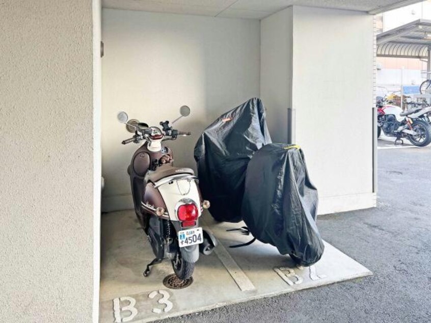  エグゼプレジオ