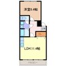 ラフィーネ石原 1LDKの間取り