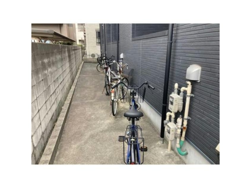  フレシールA
