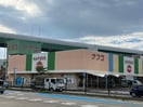 ナフコトミダ熱田店(スーパー)まで194m さくらHills ROKUBAN Platinum Residence