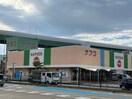 ナフコトミダ熱田店(スーパー)まで603m 仮称）ハーモニーテラス八番二丁目B