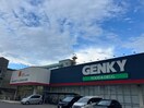 ゲンキー中川玉川店(ドラッグストア)まで742m 仮称）ハーモニーテラス八番二丁目B