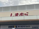 ファッションセンターしまむらビバモール名古屋南店(ショッピングセンター/アウトレットモール)まで1334m SQUARE大江(スクエアオオエ)