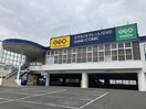 ゲオ道徳店(ビデオ/DVD)まで1083m SQUARE大江(スクエアオオエ)