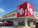 スギ薬局中川南店(ドラッグストア)まで571m グランドール正徳