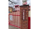 認定こども園葵第二幼稚園(幼稚園/保育園)まで869m TYPHOON