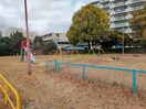 白水公園(公園)まで937m TYPHOON