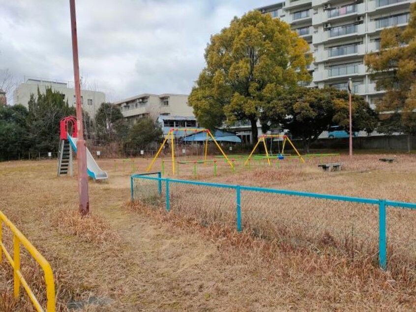 白水公園(公園)まで937m TYPHOON