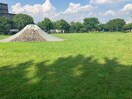 本宮公園(公園)まで352m NF GRAN 荒子川公園