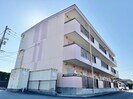 ピュア セルト森尾の外観