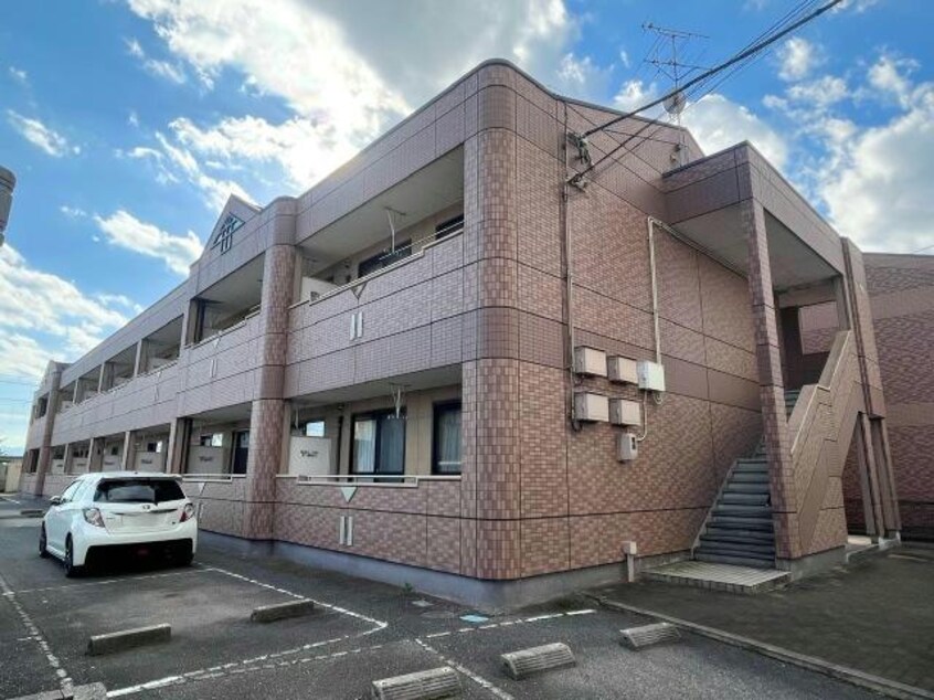  エレガントモレノ