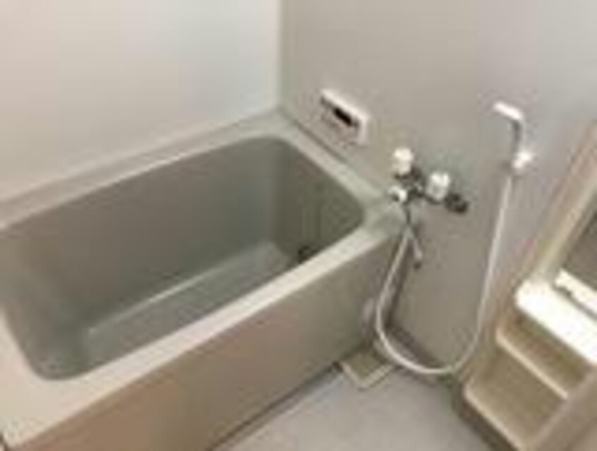  エレガントモレノ