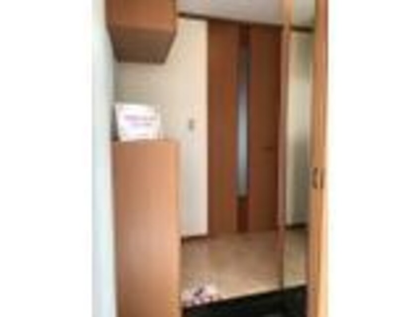  エレガントモレノ