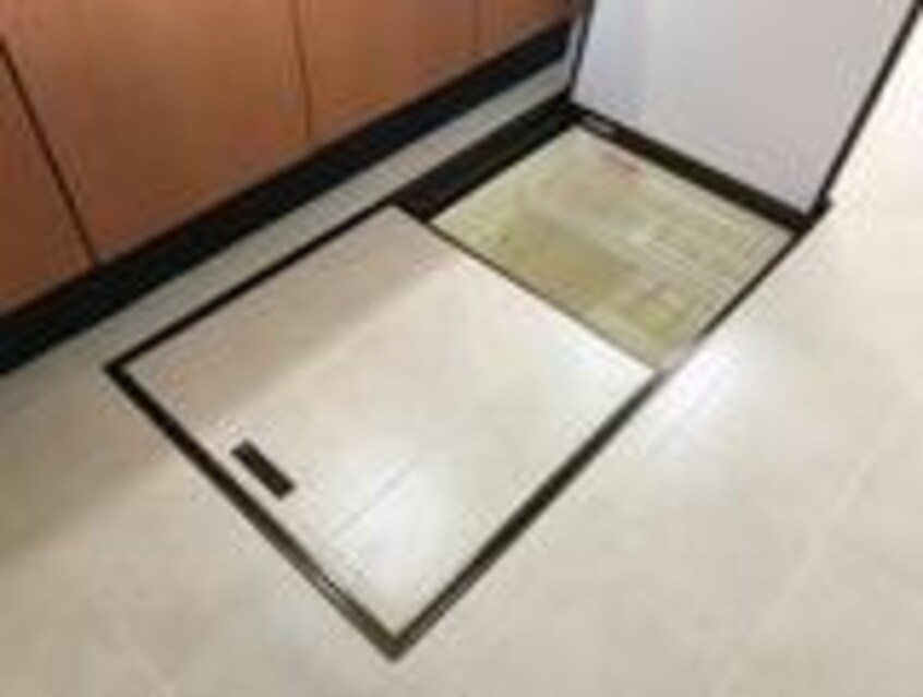  エレガントモレノ