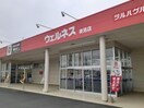 ウェルネス夜見店(ドラッグストア)まで1100m メディオ・コルソB