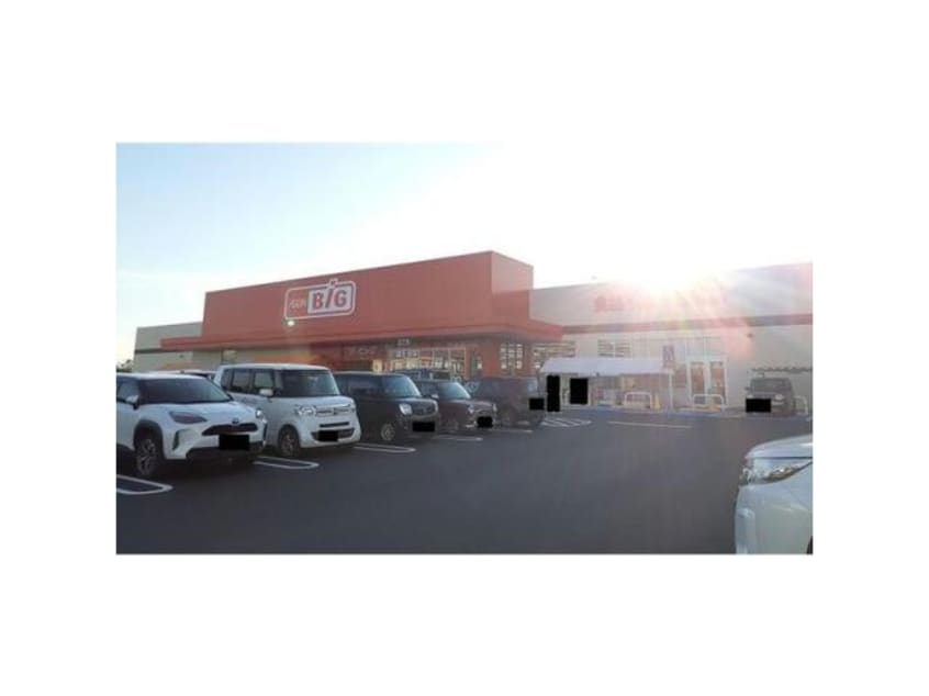 ザ・ビッグ淀江店(ディスカウントショップ)まで1006m レジデンスフォー