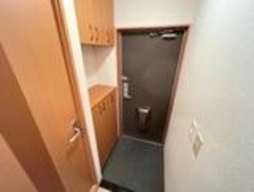  ピュア・リーフ