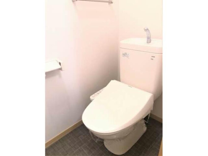  タートルテイル