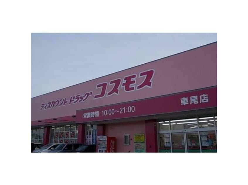 ディスカウントドラッグコスモス車尾店(ドラッグストア)まで973m グレイス ベルⅡ