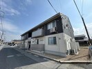 椿の外観