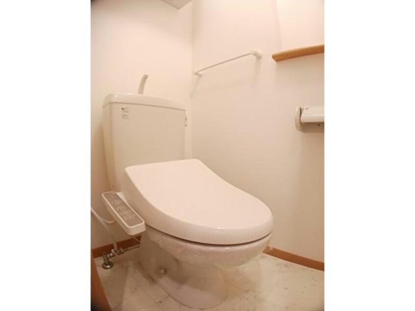  スプリングフィールドB