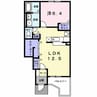 チェリーブロッサム 1LDKの間取り