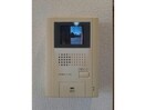  チェリーブロッサム