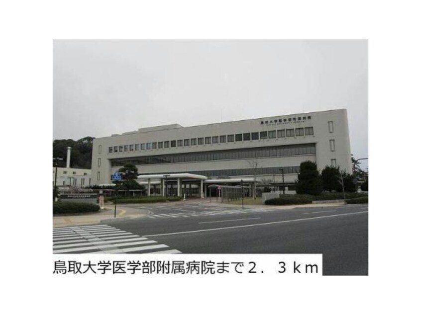 国立鳥取大学医学部(大学/短大/専門学校)まで2541m ヴィラ西福原B棟