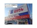 ドラッグストアウェルネス東福原店(ドラッグストア)まで624m カーサ　ルセス　A