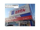 ドラッグストアウェルネス東福原店(ドラッグストア)まで672m カーサ　ルセスB