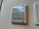  ベントルナータ