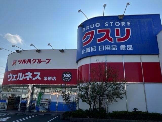 ウェルネス米原店(ドラッグストア)まで850m フロリスタン