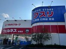 ウェルネス米原店(ドラッグストア)まで850m フロリスタン