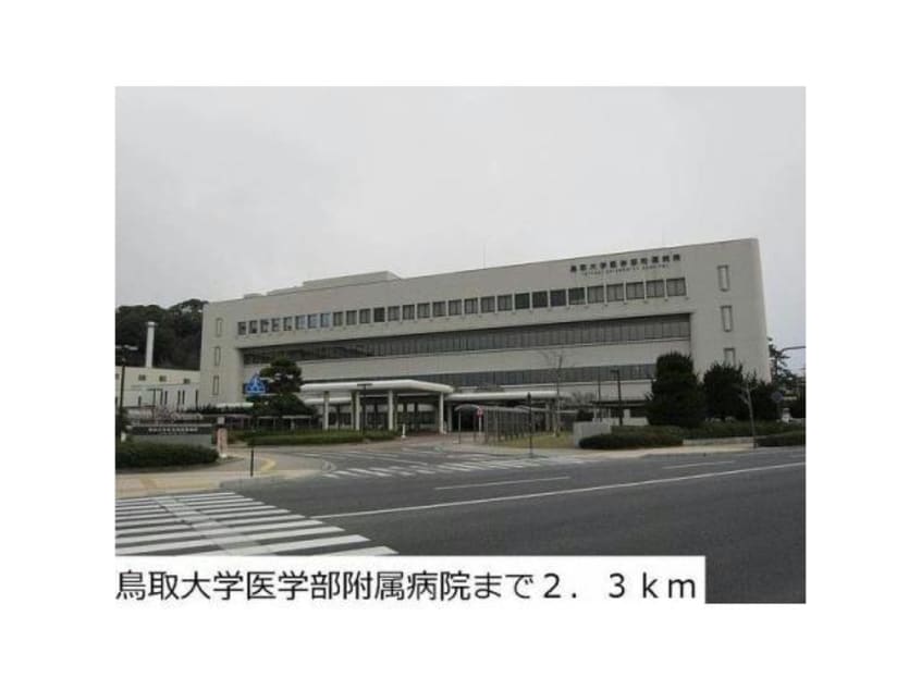 国立鳥取大学医学部(大学/短大/専門学校)まで1328m エクセレント米子