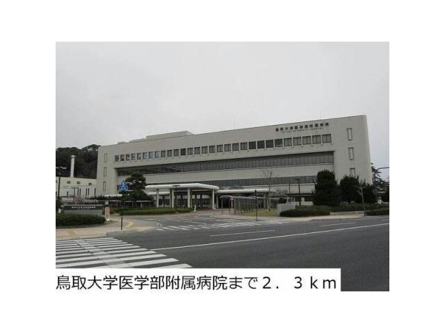 国立鳥取大学医学部(大学/短大/専門学校)まで1208m グリーンハイツ