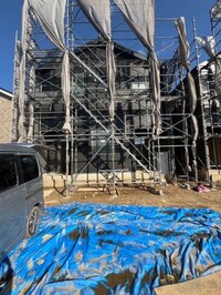 トレビュート　D