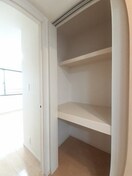  ライトスプリングＢ