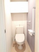  ライトスプリングＢ