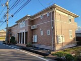 プリムローズ　しんいち