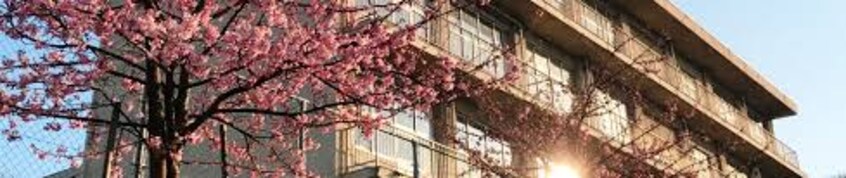 福山市立野々浜小学校(小学校)まで1147m ソール・オリエンス